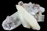 Zoned Apophyllite Crystals With Stilbite - India #72067-1